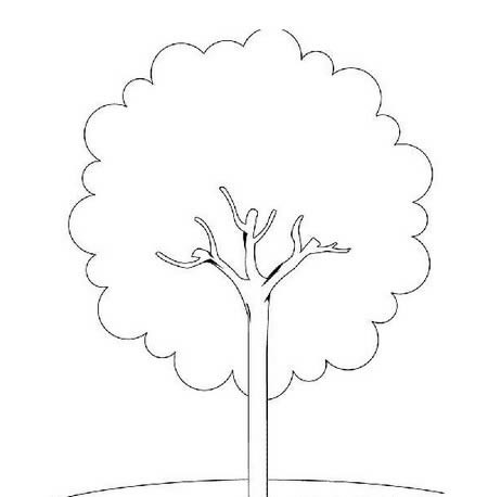夏天的大树怎么画简笔画简单又好看 