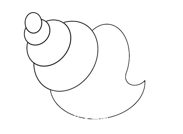 海螺怎么画一步一步图片