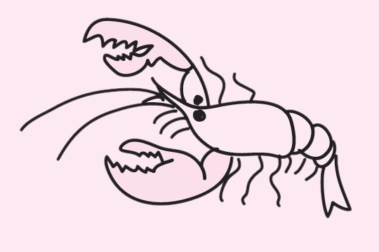 虾的简笔画的画法步骤教程