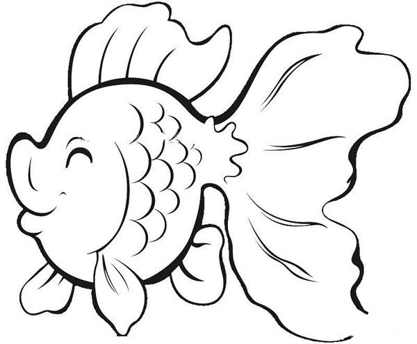 开心的小丑鱼简笔画,图片,简笔画