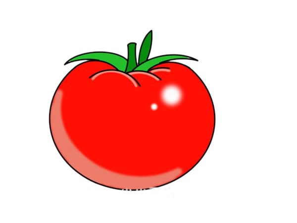 番茄简笔画 简单图片