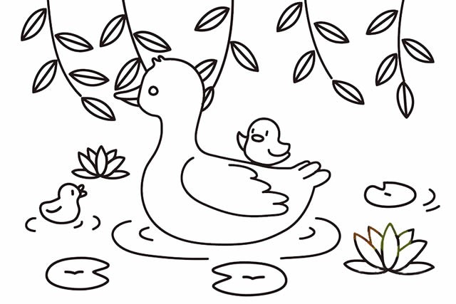 游来游去的鸭子简笔画彩色画法图片公鸡简笔画彩色