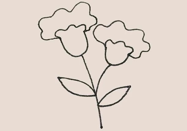 鸡冠花怎么画 简单图片