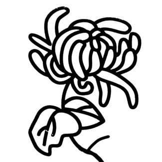 幼儿菊花画法图片