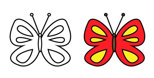 蝴蝶的笔画顺序图片