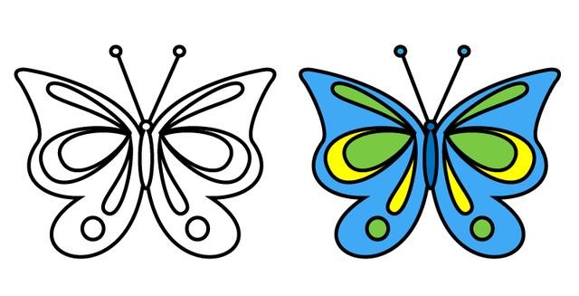 蝴蝶的简笔画唯美图片