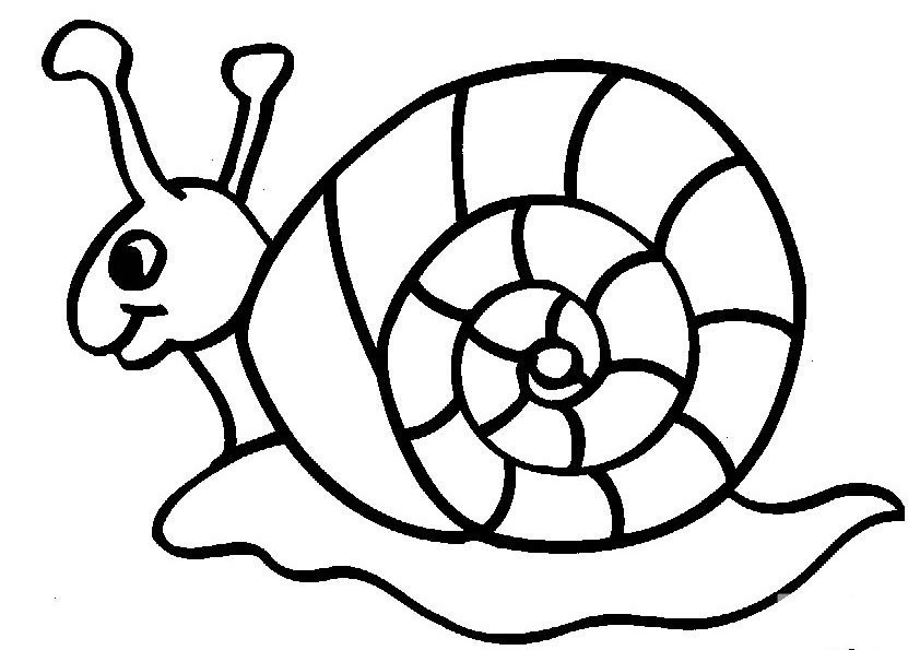 动物简笔画蜗牛图片