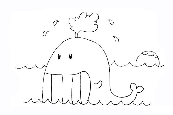 卡通鲸鱼简笔画