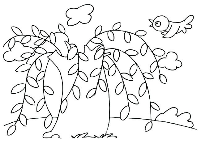 秋天柳树的简笔画图片