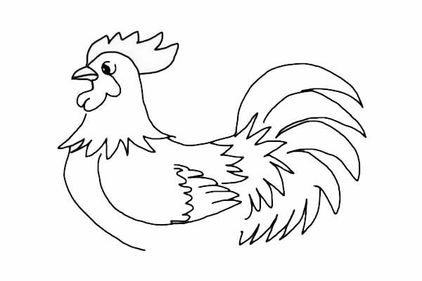 公鸡简笔画-大公鸡简笔画怎么画简单好画