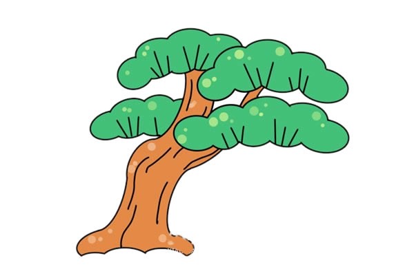 彩色松树简笔画画法步骤图片