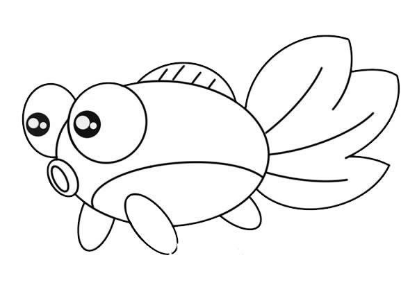 小金鱼简笔画 图画图片