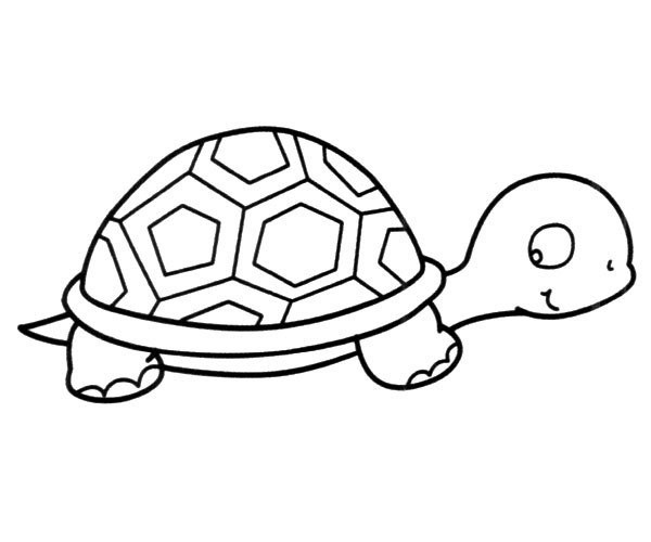 乌龟漫画简笔画图片
