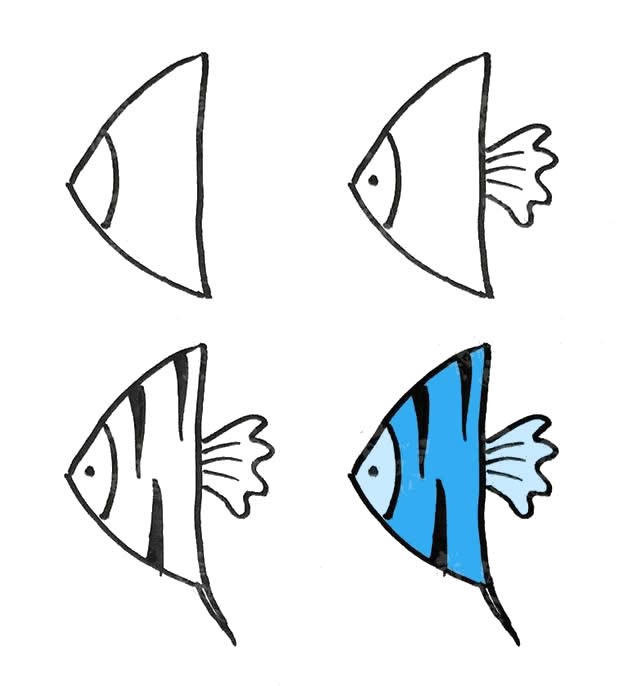 菱形鱼的简笔画及颜色图片