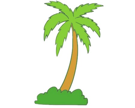 简单椰子树图片大全图片