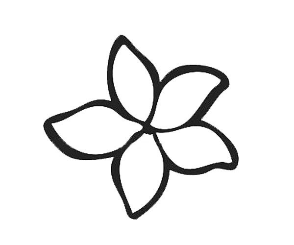 各种花瓣的简笔画图片 12种花瓣的简单画法大全