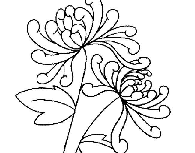 菊花画法手绘图片