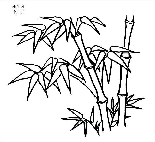 春天的竹子图片简笔画图片