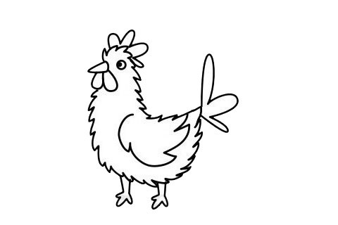 公鸡简笔画超简单的公鸡简笔画画法步骤图片大全