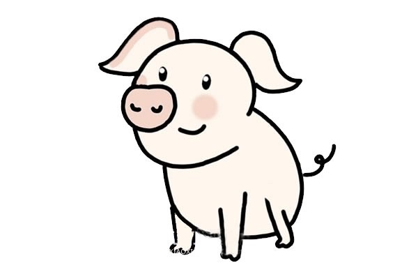可爱猪简笔画画法步骤图片