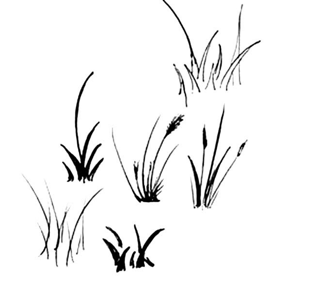 草地上的小草怎么画图片