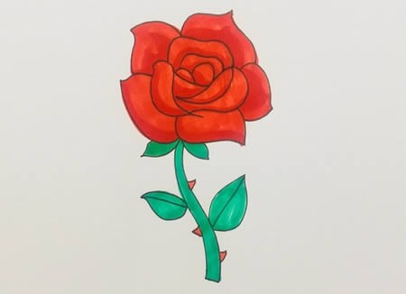 玫瑰花简笔画画法步骤图解-玫瑰花怎么画简单又漂亮