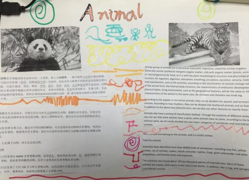 Interesting Animals手抄报