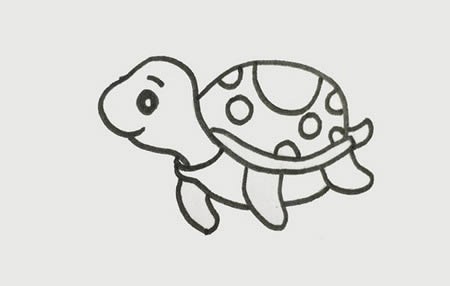 海龟怎么画简笔画步骤图片-儿童简笔画乌龟的画法