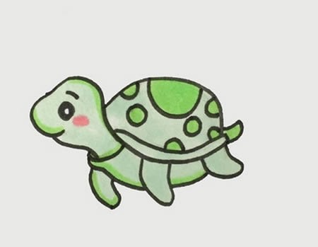 海龟怎么画简笔画步骤图片-儿童简笔画乌龟的画法