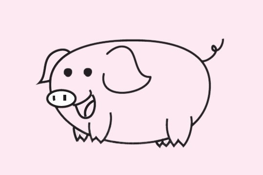 小猪的画法 简单图片