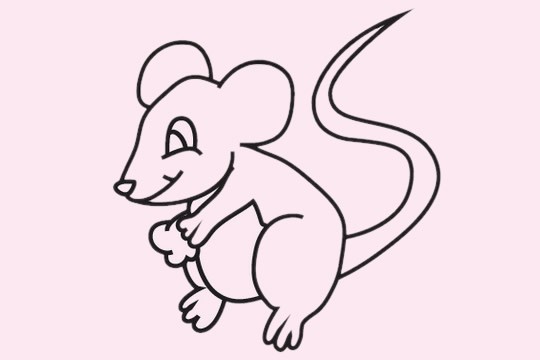 老鼠怎么画简笔画正面图片