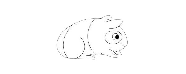 荷兰猪简笔画图片
