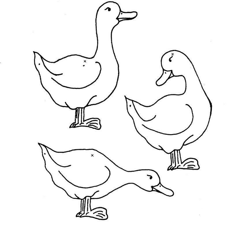 一群鸭子的简笔画图片