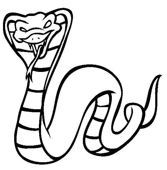 蛇的简笔画可爱凶猛图片