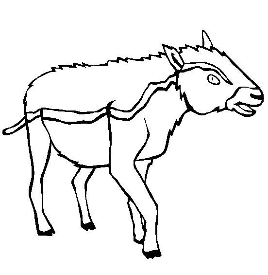远古时代的动物简笔画图片