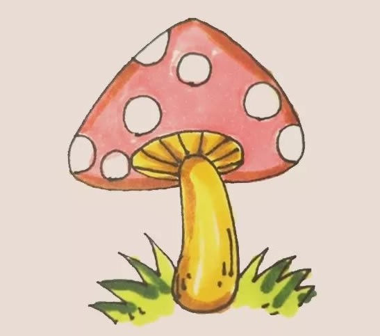 彩色蘑菇简笔画带颜色步骤图解教程