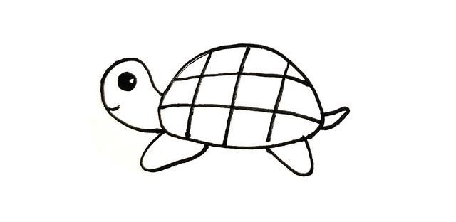 卡通海龟简笔画