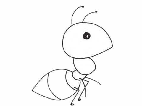 一只蚂蚁简笔画可爱图片