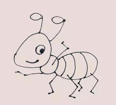 蚂蚁幼虫简笔画图片