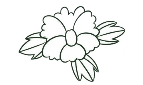 牡丹花的简笔画花瓣图片