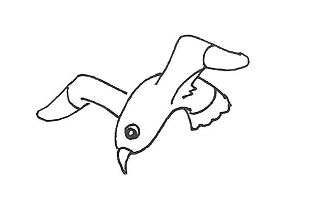 海鸥的足怎么画图片