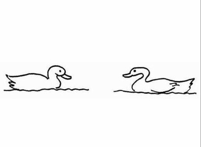 两只鸭子简笔画图片