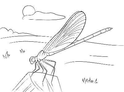 在休息的蜻蜓怎么画