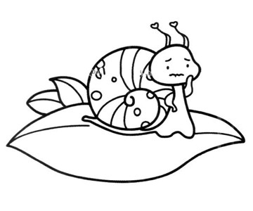 可怜的小蜗牛