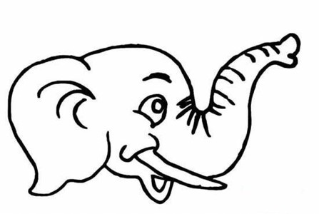 大象正脸图画图片