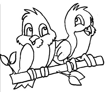 两只鹦鹉简笔画图片