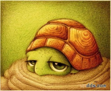 装饰画-古老的乌龟