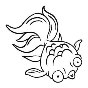 害怕的金鱼简笔画