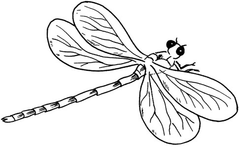 可爱的蜻蜓简笔画