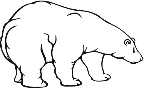 北极熊简笔画画法